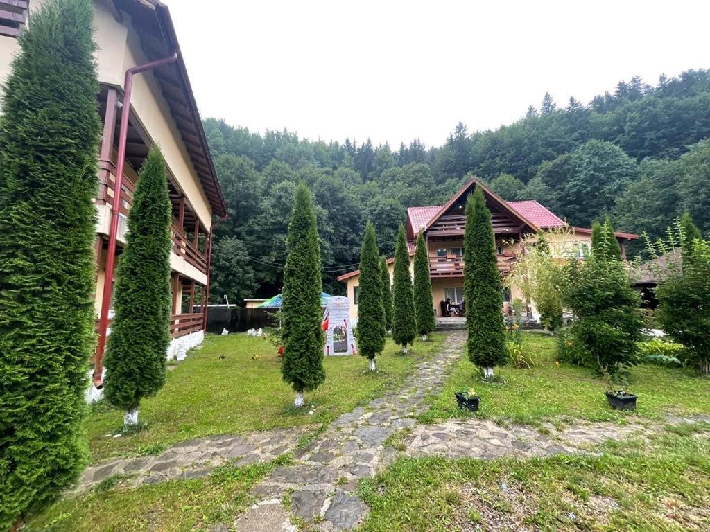 Măneciu Pensiunea La Padure Cheia, Prahova酒店 外观 照片