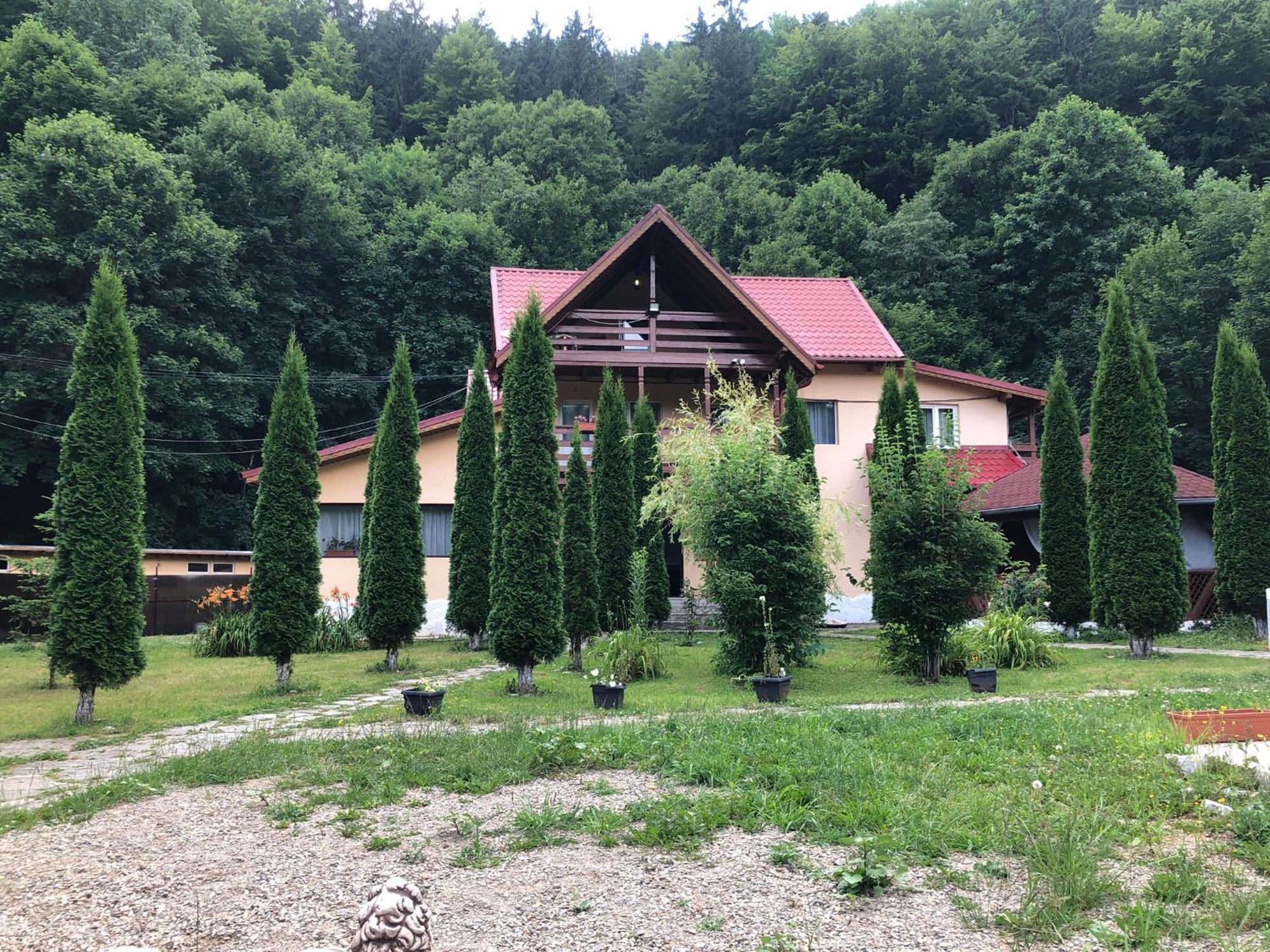 Măneciu Pensiunea La Padure Cheia, Prahova酒店 外观 照片